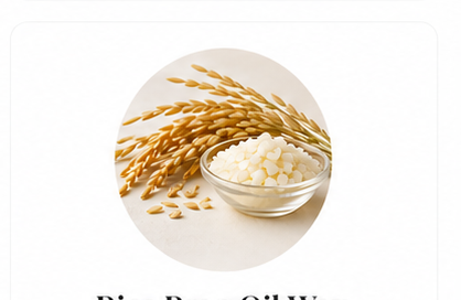 Rice Bran Oil Wax